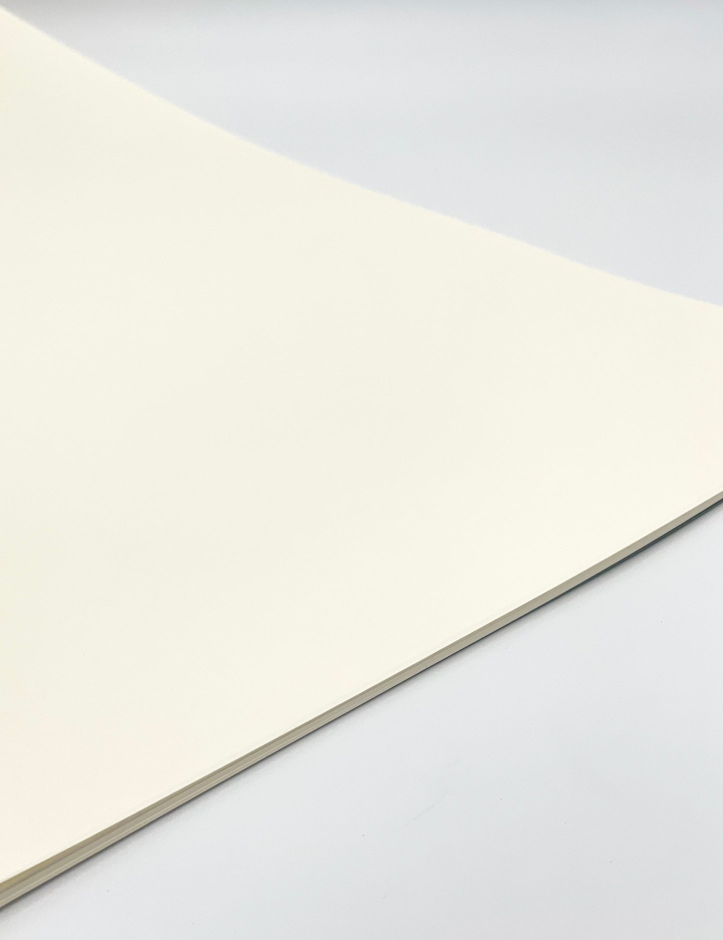 Fillion Notebooks- Blank/Unruled