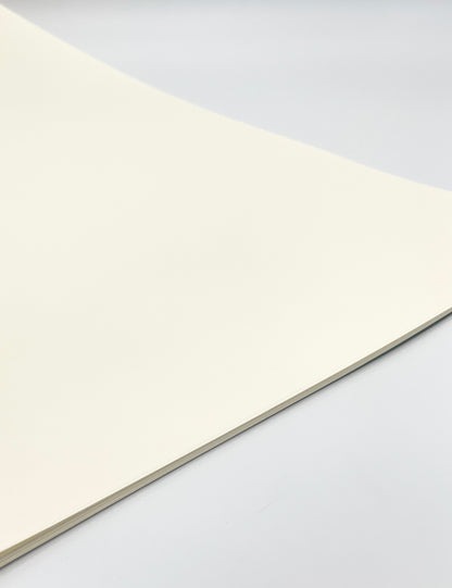 Fillion Notebooks- Blank/Unruled