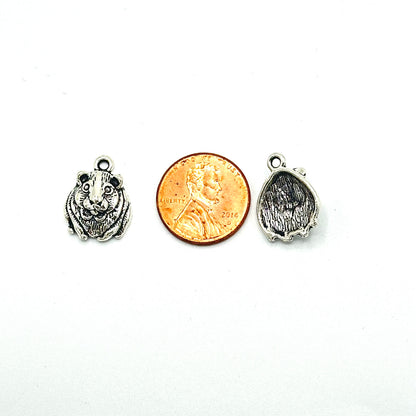 Charms
