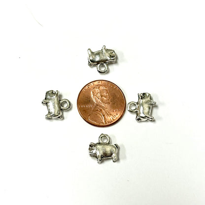 Charms